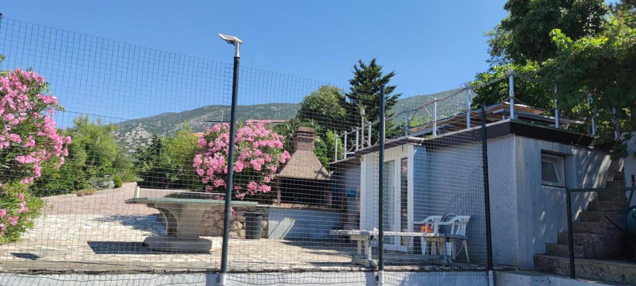 Resort Haus Toma Cesarica Exterior foto