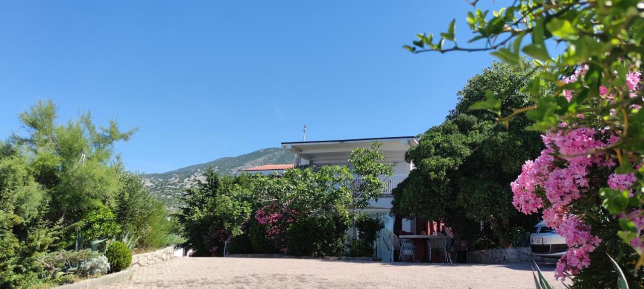Resort Haus Toma Cesarica Exterior foto