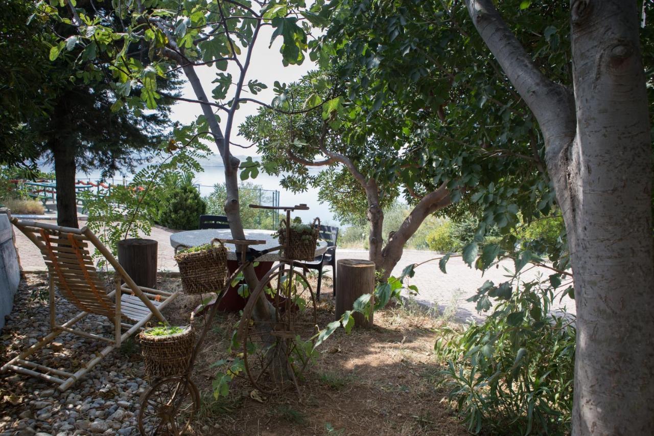 Resort Haus Toma Cesarica Exterior foto